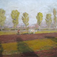 Tavaszi szántás / Spring ploughing (1950-es évek eleje / early 1950s)
